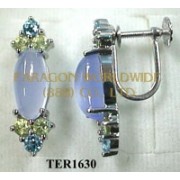 10K White Gold Earrings  Multi - TER1630 